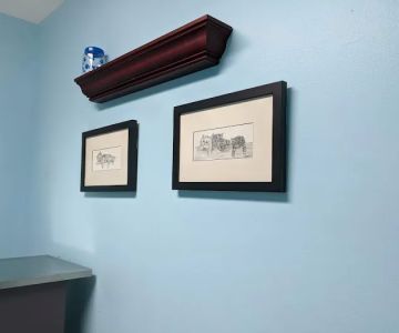 Northwest Austin Veterinary: Boston Billie DVM