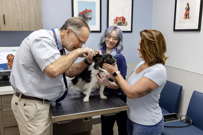Livewell Animal Hospital of Austin 6