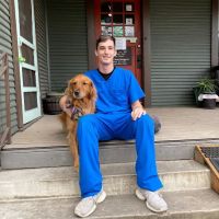Livewell Animal Hospital of Austin ico