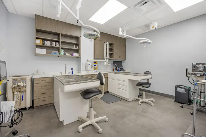 Livewell Animal Hospital of Austin 2