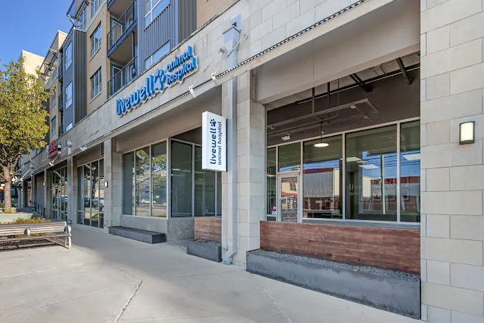 Livewell Animal Hospital of Austin 5