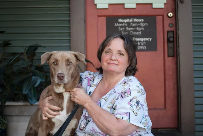 Livewell Animal Hospital of Austin 4