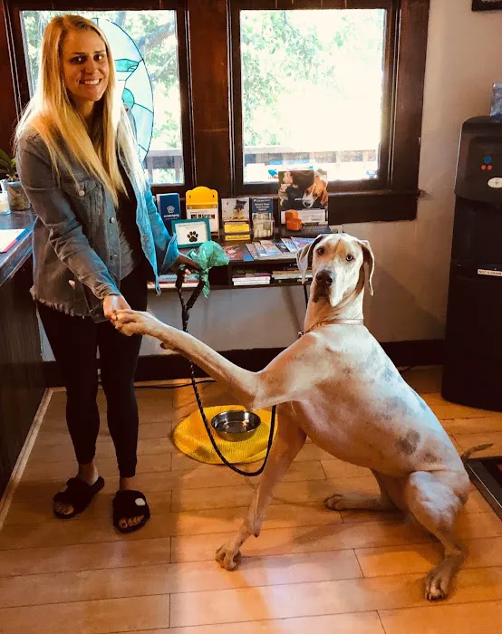 Livewell Animal Hospital of Austin 8