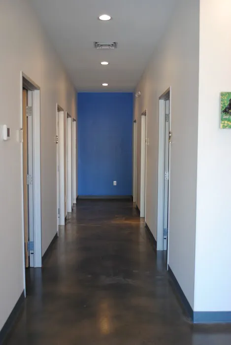 Thrive Pet Healthcare - South Lamar 1