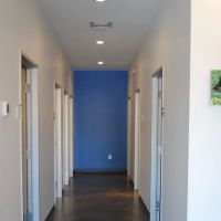Thrive Pet Healthcare - South Lamar ico