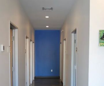 Thrive Pet Healthcare - South Lamar