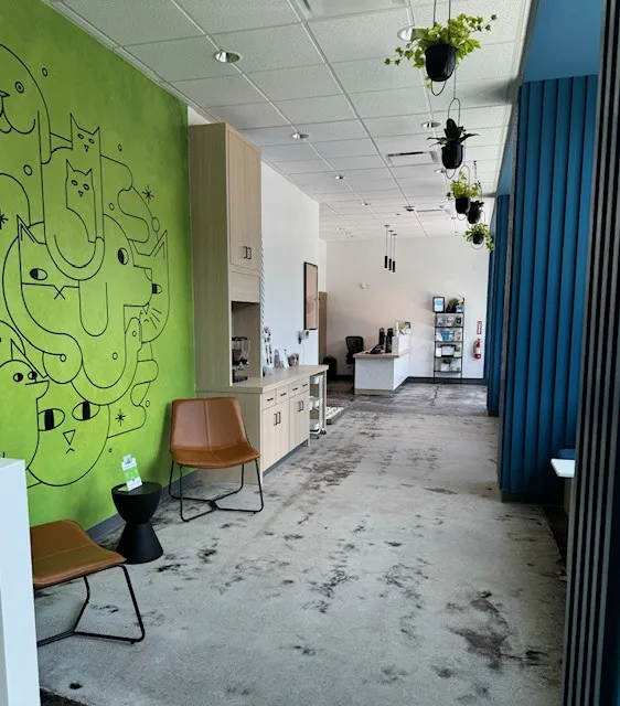 Thrive Pet Healthcare - South Lamar 7