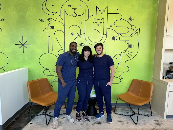 Thrive Pet Healthcare - South Lamar 8