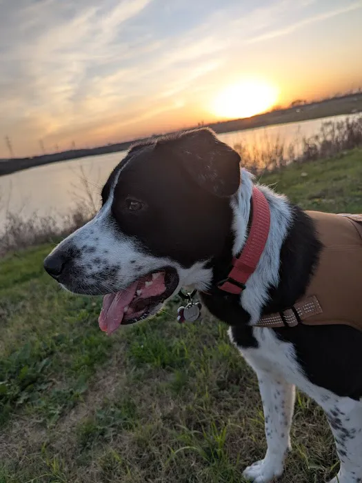 Thrive Pet Healthcare - South Lamar 5