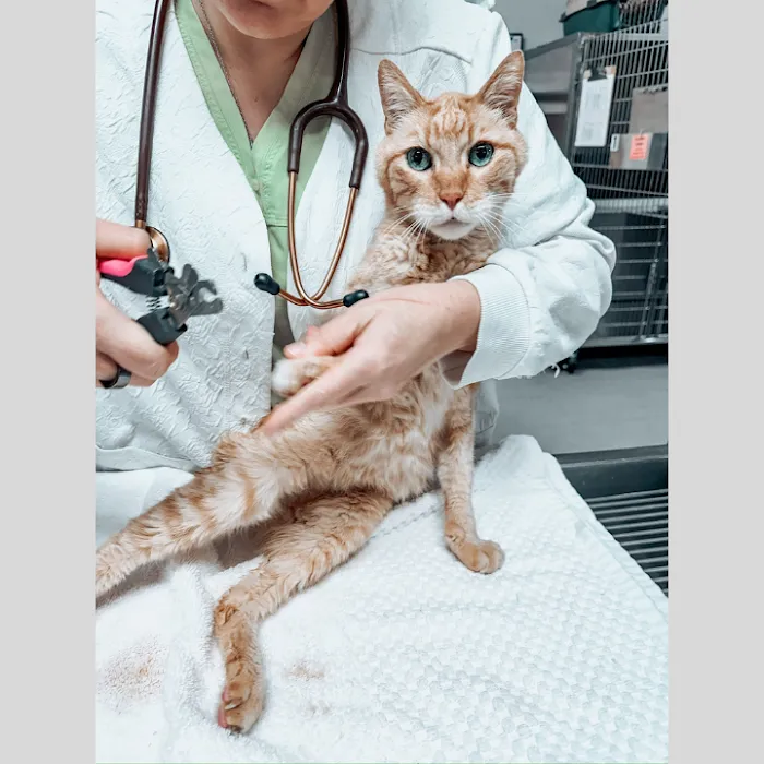 Parker Animal Care 9