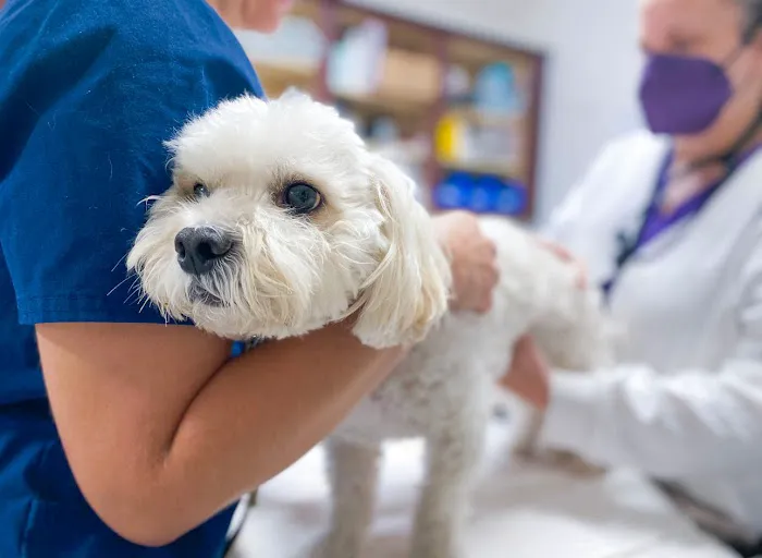 Parker Animal Care 5