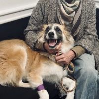 Parker Animal Care ico