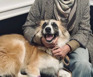 Parker Animal Care