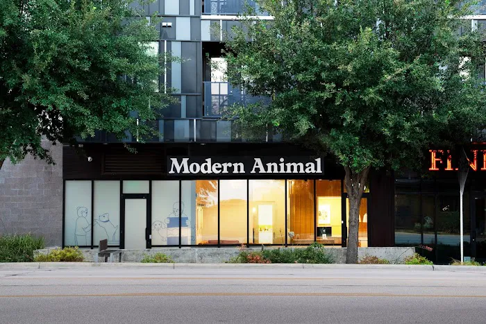 Modern Animal 10