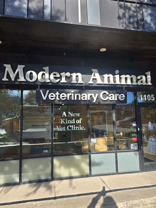 Modern Animal 7