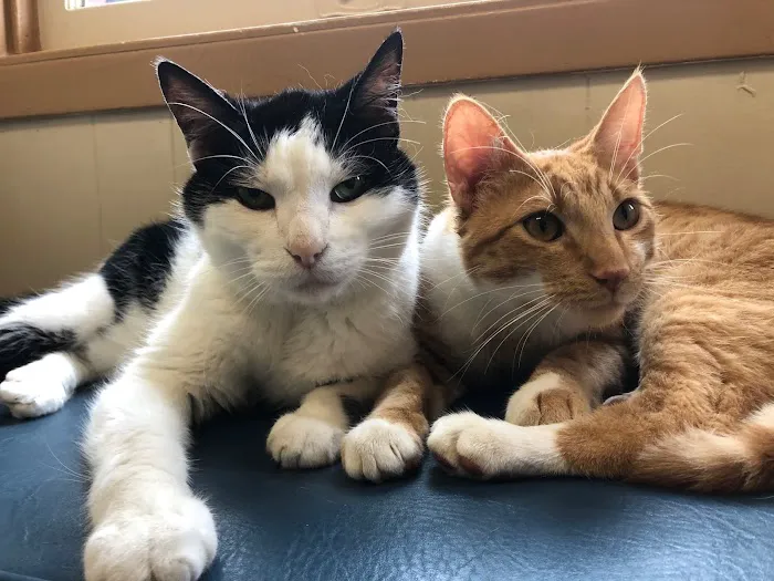 Highland's Pet Medical Clinic 8