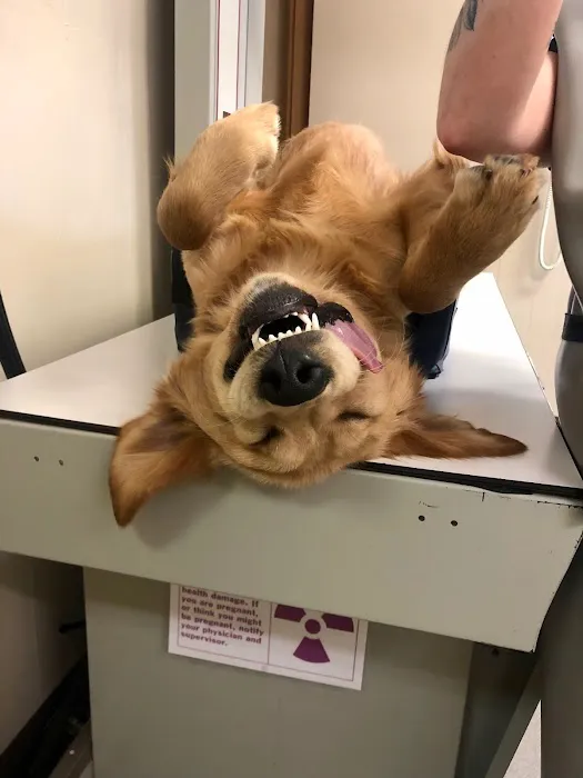 Highland's Pet Medical Clinic 4