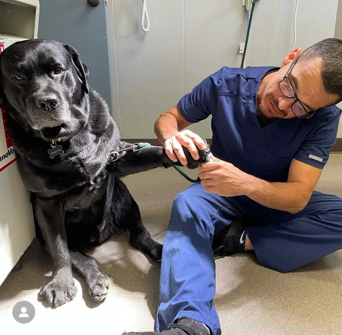 Highland's Pet Medical Clinic 9