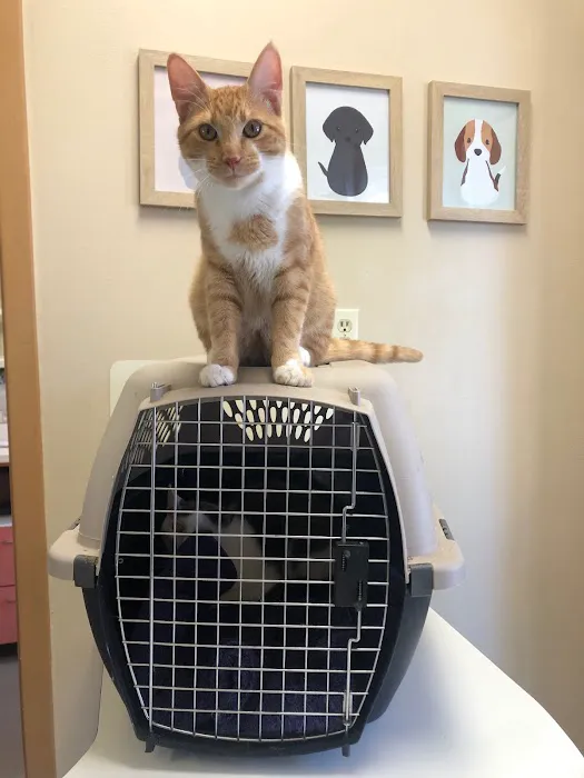 Highland's Pet Medical Clinic 10