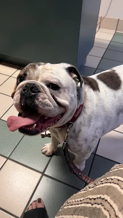 Brykerwood Veterinary Clinic 12