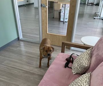 Honnas Veterinary