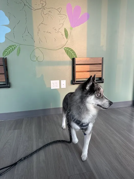 Honnas Veterinary 9