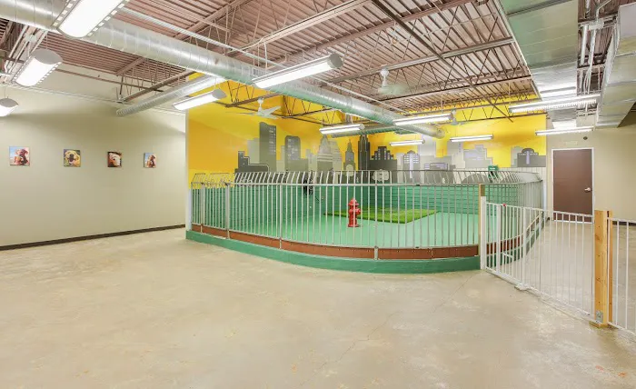 Austin Urban Veterinary Center 2