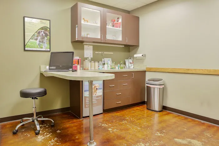 Austin Urban Veterinary Center 5