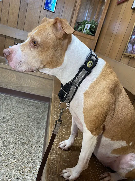 Burnet Road Animal Hospital 4