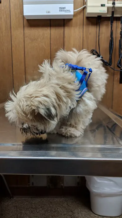 Burnet Road Animal Hospital 1