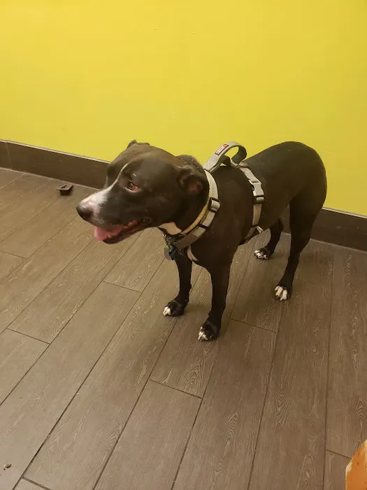 Banfield Pet Hospital 3