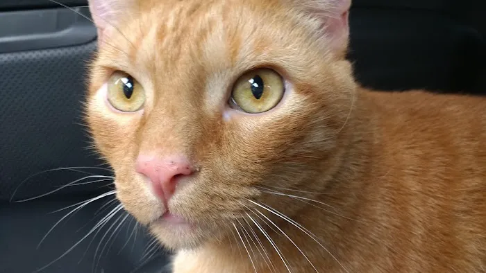 Banfield Pet Hospital 6