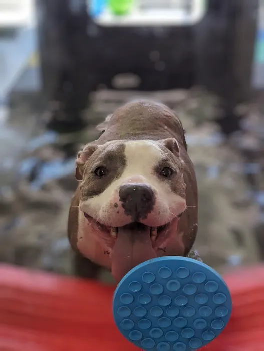 Revive Veterinary Rehab 3