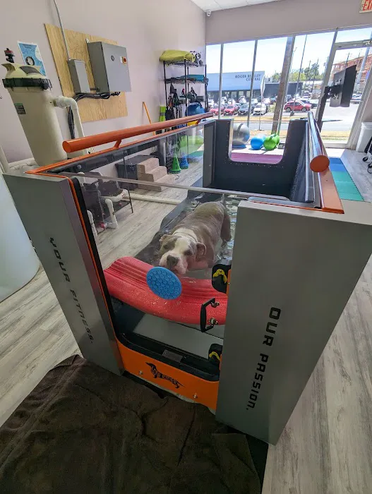 Revive Veterinary Rehab 9
