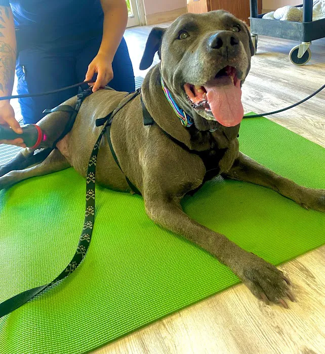 Revive Veterinary Rehab 10