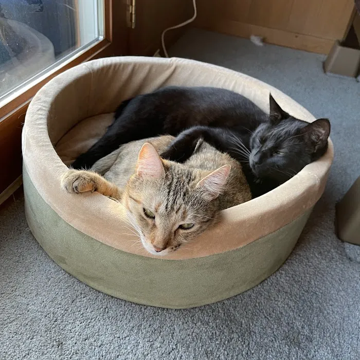 Allandale Veterinary Clinic 3