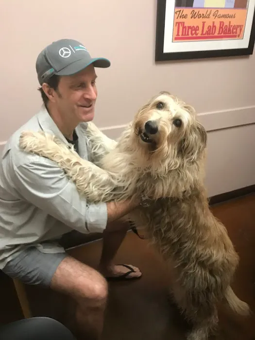 Allandale Veterinary Clinic 10