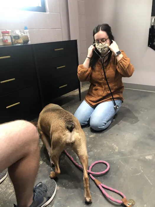PAZ Veterinary North 12