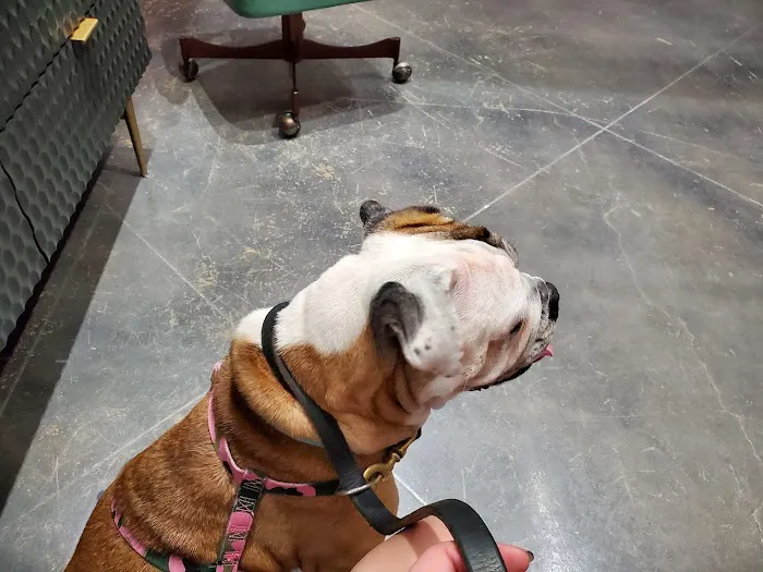 PAZ Veterinary North 12