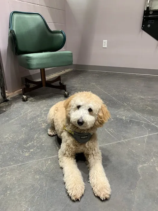 PAZ Veterinary North 12