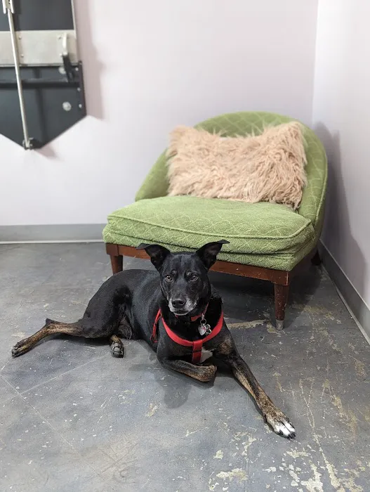 PAZ Veterinary North 12