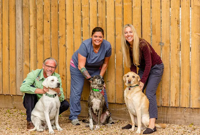 North Austin Animal Hospital 12
