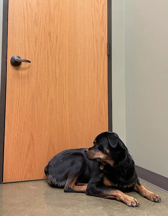 Rosedale Veterinary Clinic 12