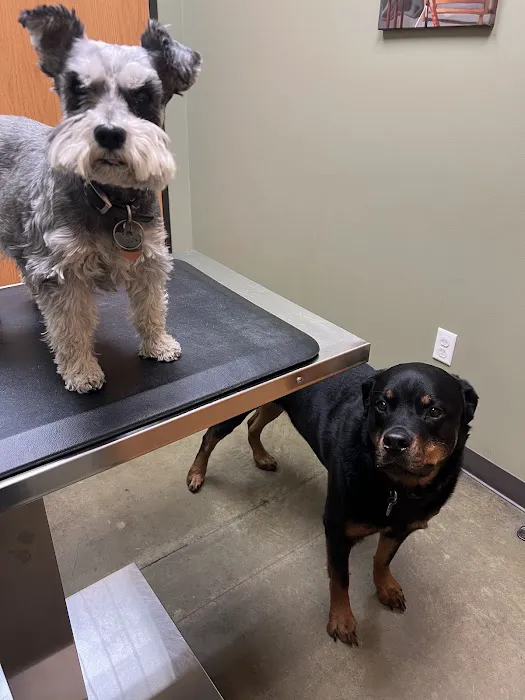 Rosedale Veterinary Clinic 12