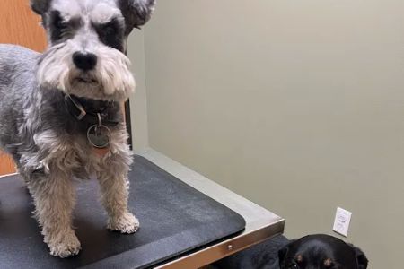 Rosedale Veterinary Clinic