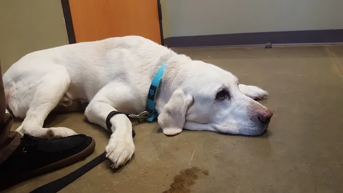 Rosedale Veterinary Clinic 12