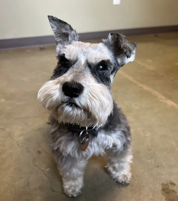 Rosedale Veterinary Clinic 12