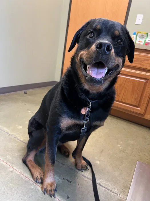 Rosedale Veterinary Clinic 12