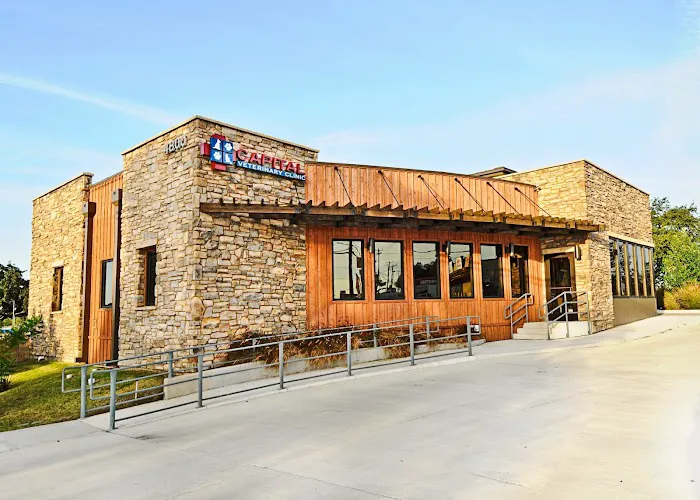Capital Veterinary Clinic 2