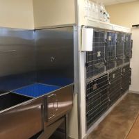 Capital Veterinary Clinic ico
